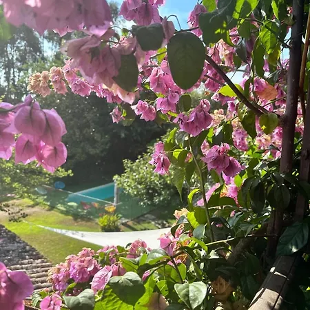 Villa Maison Espelida *